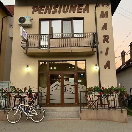 Pensiunea Maria Calimanesti Exterior foto